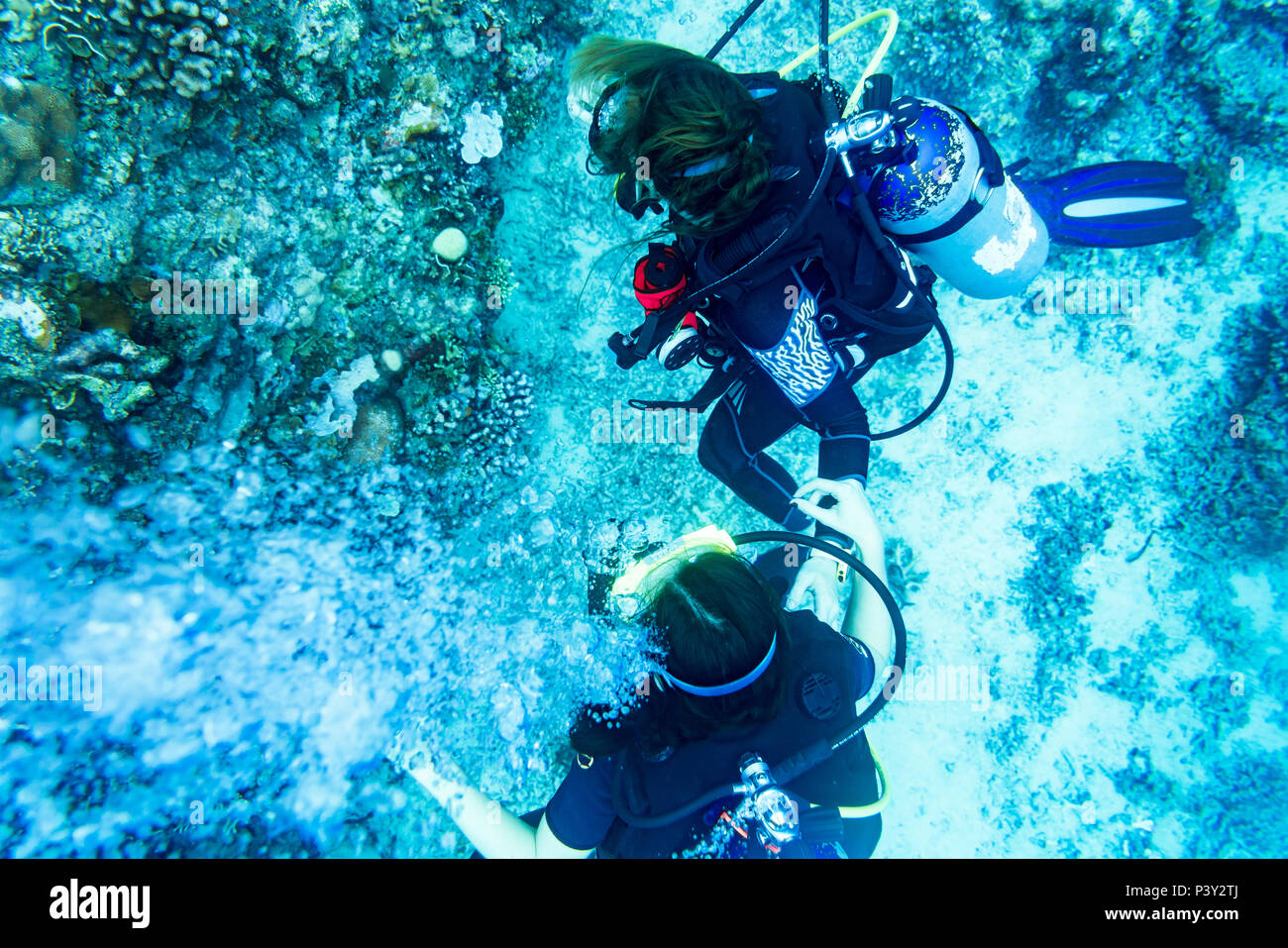 Scuba diving at coral reef under water in tropical ocean Stock Photo Alamy