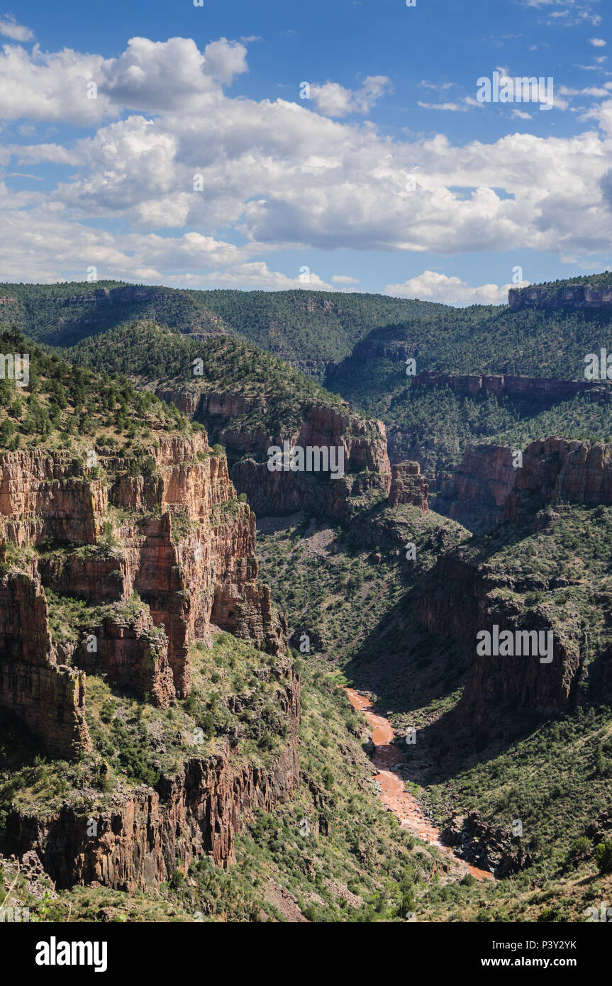 Overlook of the Becker Butte and the Salt River in the Fort Apache ...