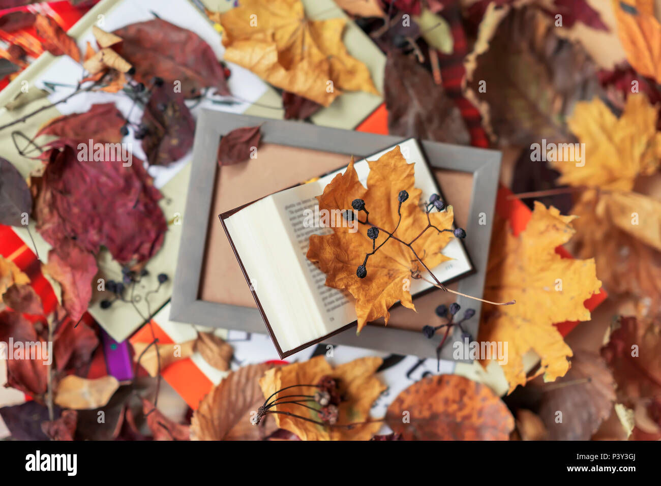 Open book in wooden frame close-up, top view, sunny fall day, autumn background, colorful leaves, romantic mood. Concept of back to school, education Stock Photo