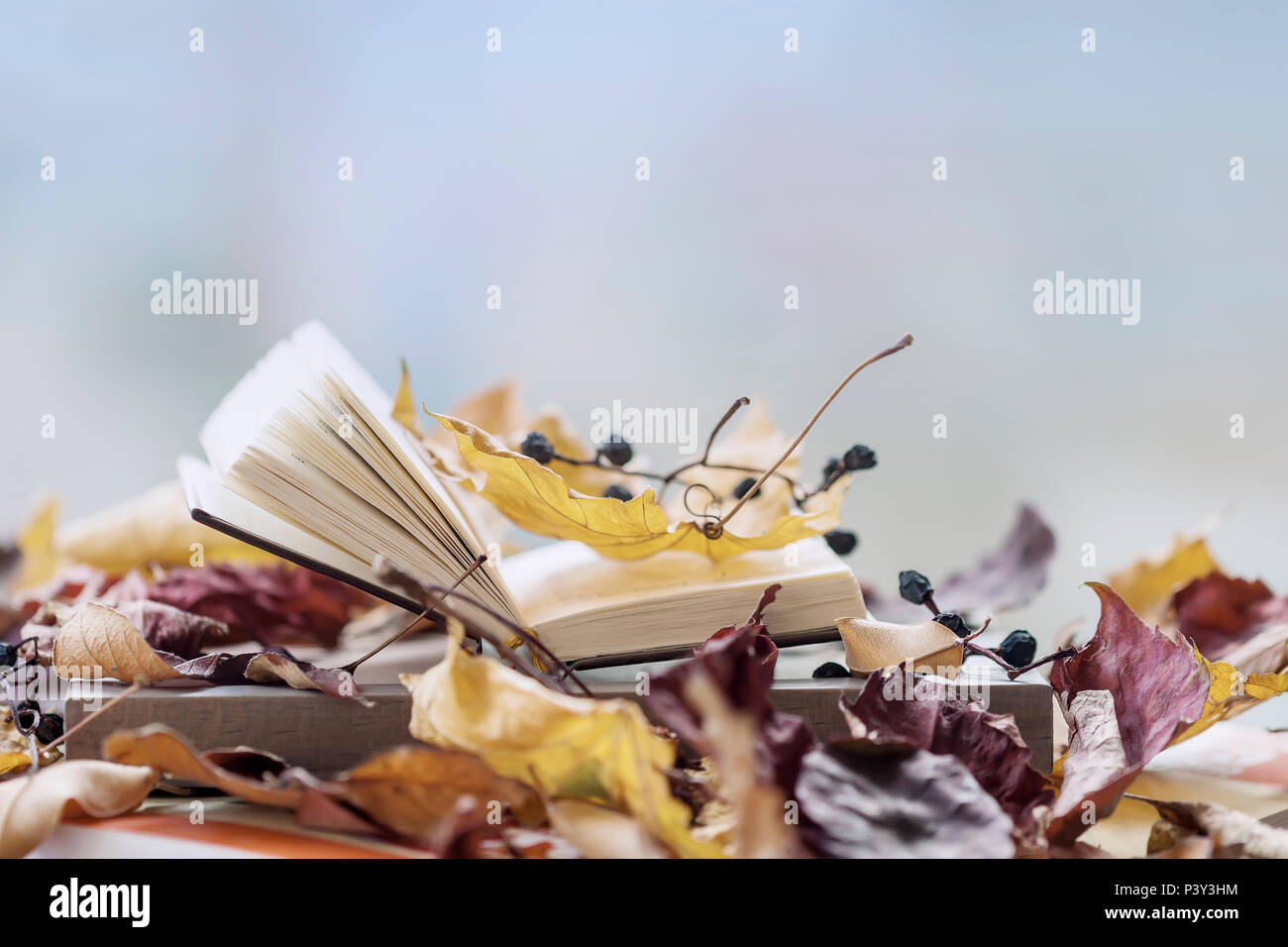 Open book on the windowsill close-up among autumn leaves, copy space, sunny fall day, light background, copy space. Concept of education, romantic mood, writing Stock Photo
