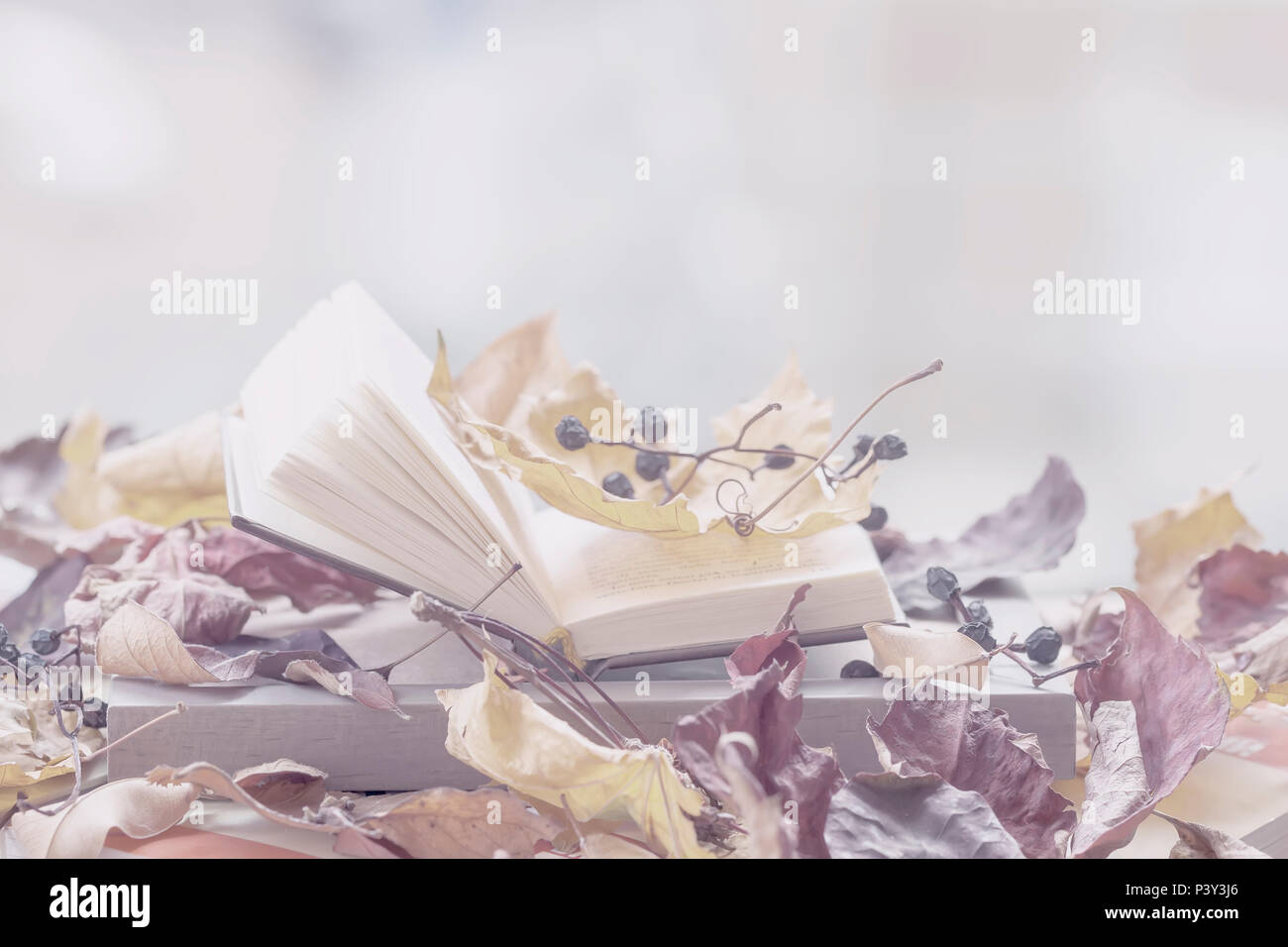 Open book on the windowsill close-up with autumn leaves, copy space, sunny fall day, light background, copy space. Concept of starting school, romantic mood Stock Photo