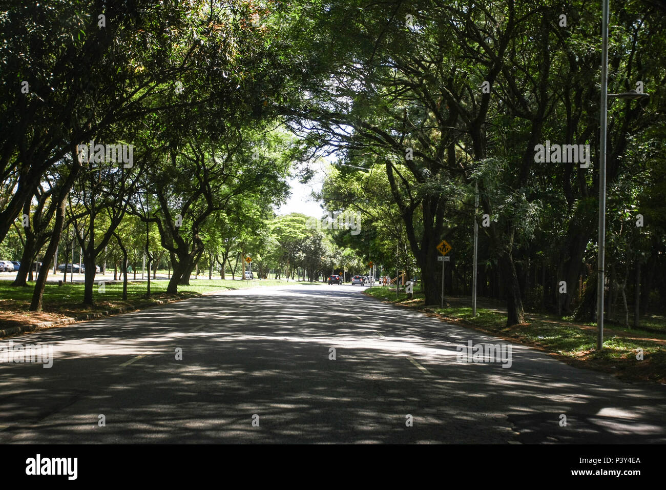 Rua Arborizada Em Sao Paulo Stock Photo Alamy