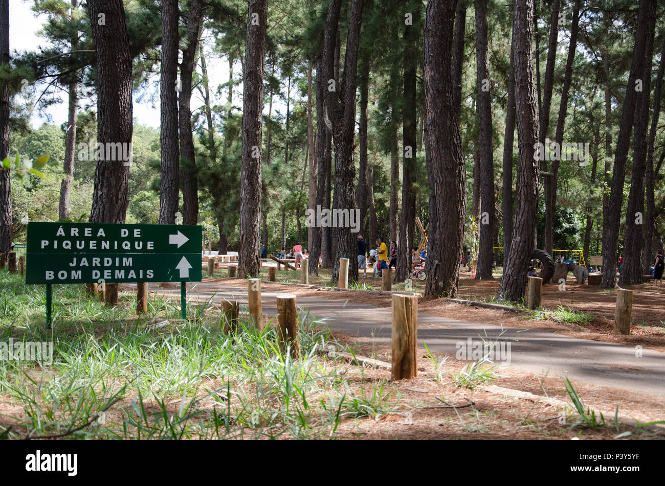 Jardim botanico de brasilia hi-res stock photography and images - Alamy