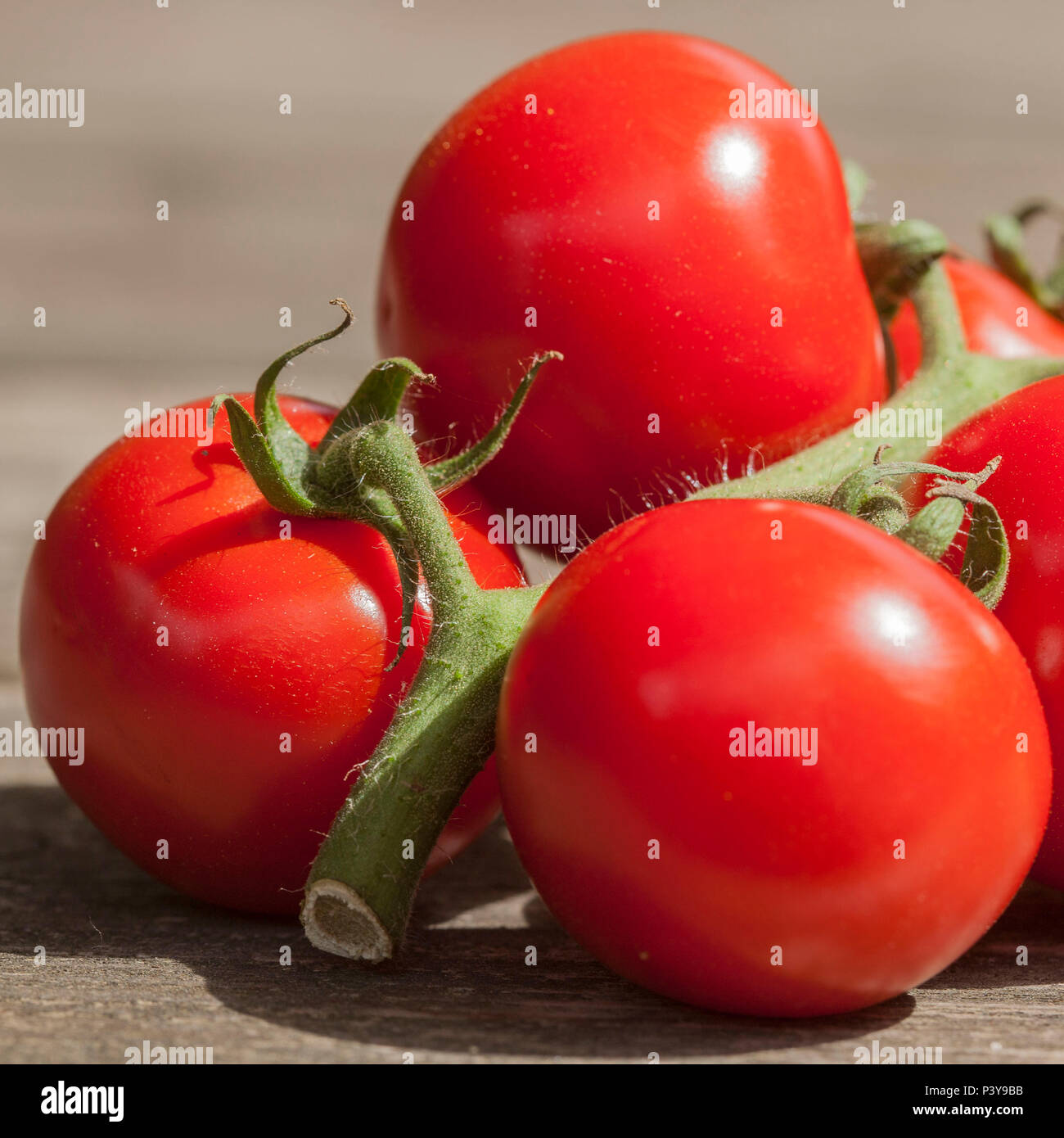 healthy fresh group of red tomatoes Stock Photo - Alamy