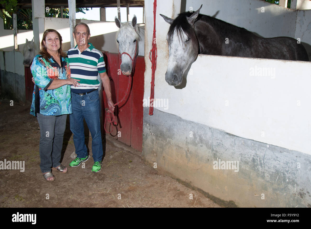 O criador de cavalos Vitélio Biazin, 68 anos, e sua esposa, Rosamaria Maltes de Freitas Biazin, 61, posam em sua propriedade rural de 7 hectares na Bahia. Vitélio nasceu no município de Severino de Almeida (RS), e migrou para Lauro de Freitas (BA), em 1983. Stock Photo