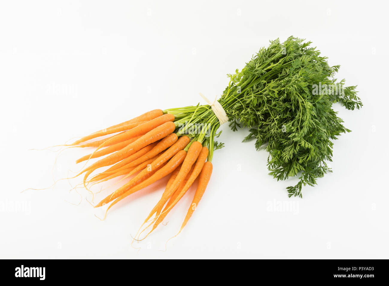 Bund Karotten auf weißem Hintergrund Stock Photo