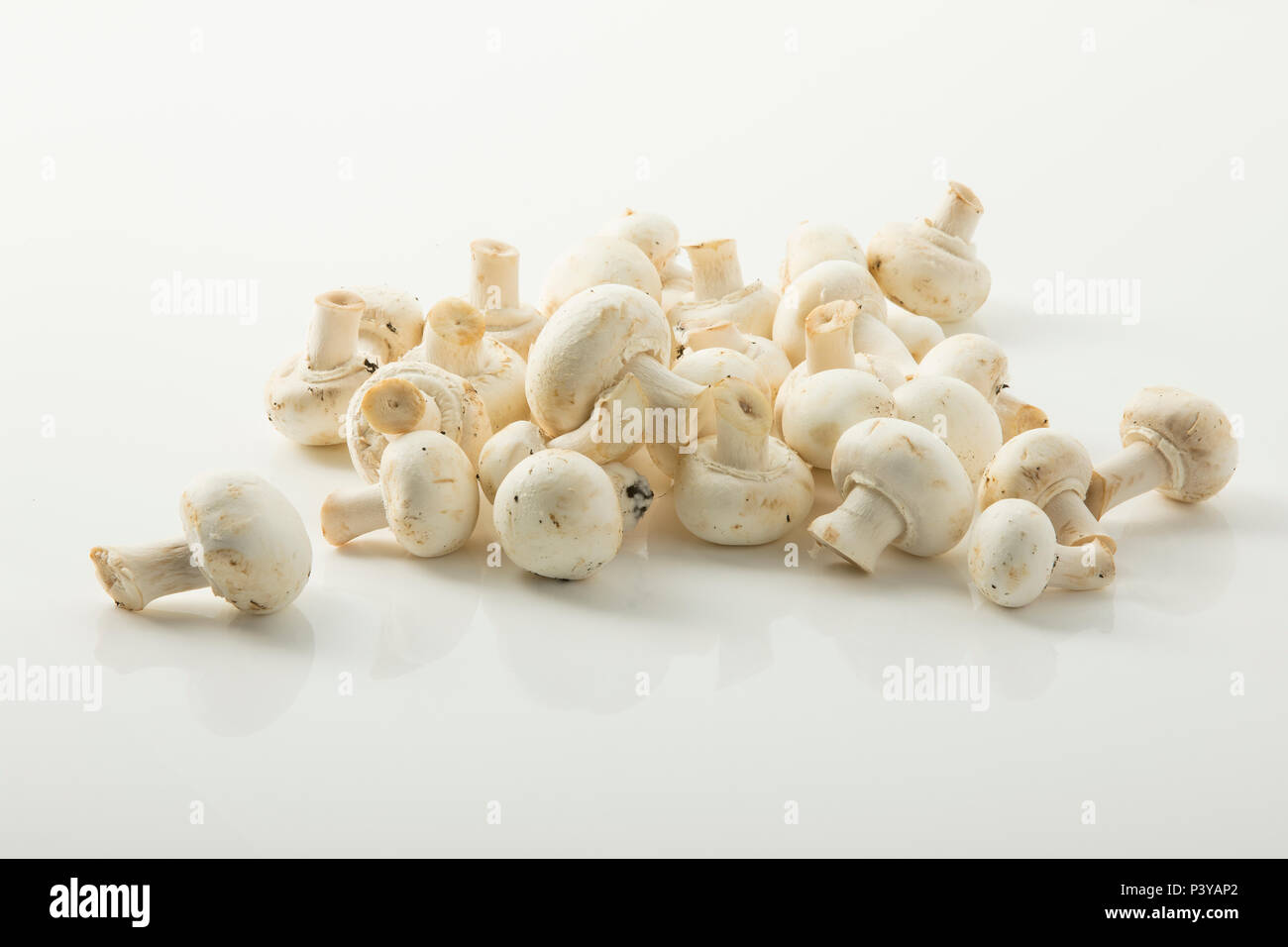 weiße Champignons Stock Photo