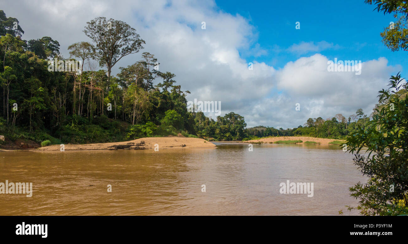 A beautiful scenery of the riverbanks of Tembeling River with a blue sky, surrounded by tropical trees in Pahang, Malaysia. Stock Photo