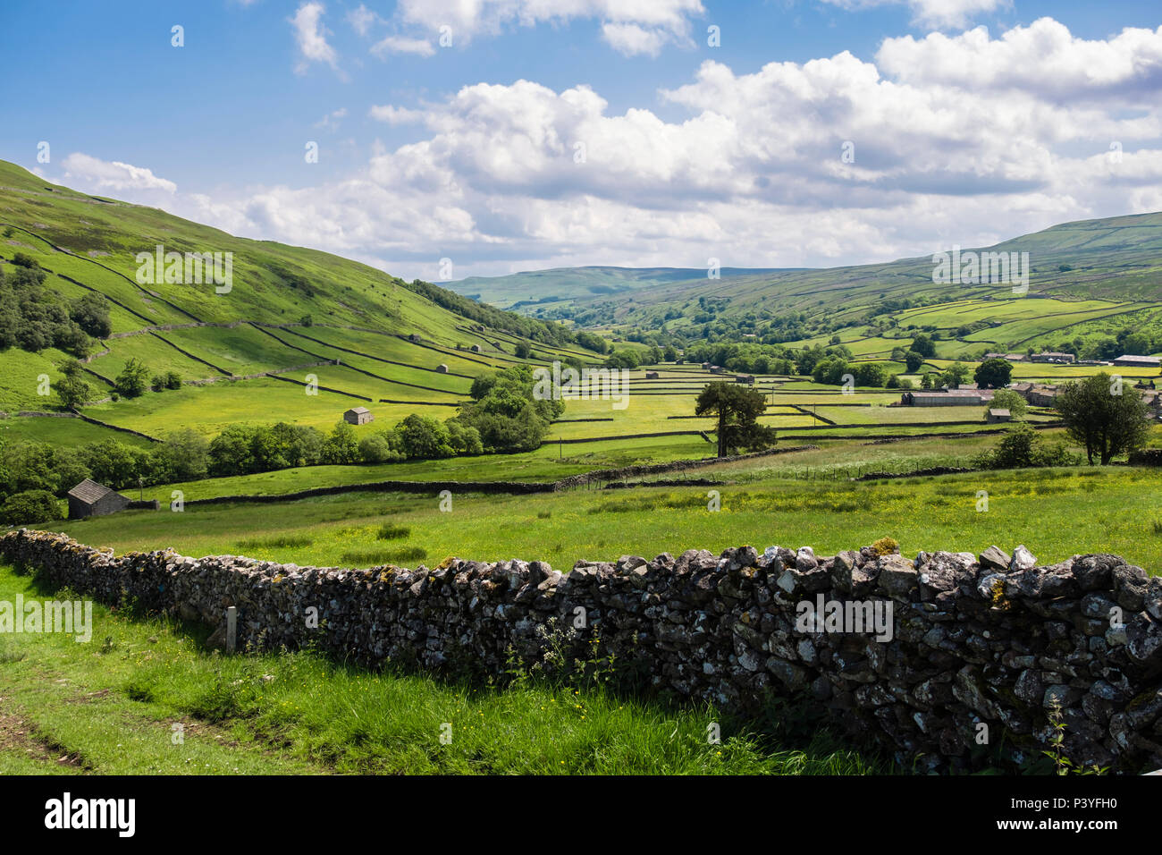 View to valley of fields and barns across stone wall above Thwaite Upper Swaledale Yorkshire Dales National Park North Yorkshire England UK Britain Stock Photo