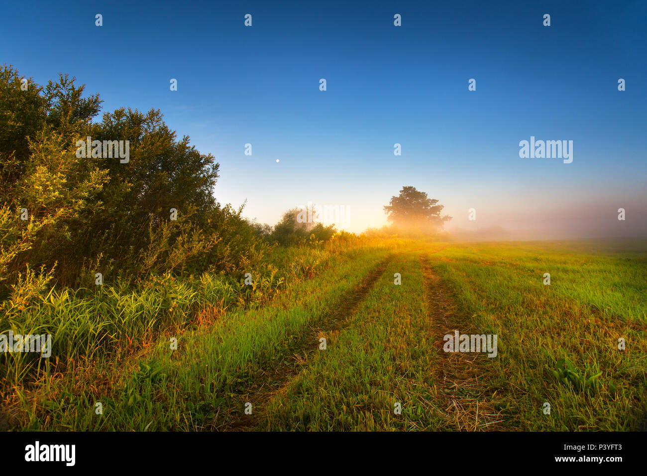 July early sunny morning hi-res stock photography and images - Alamy