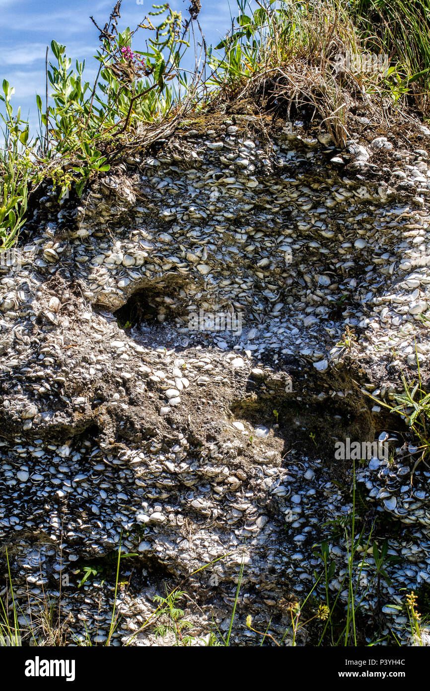 Sambaqui de Garopaba do Sul, um sítio arqueológico com cerca de 5.000 anos de idade, considerado o maior do Brasil. Jaguaruna, Santa Catarina, Brasil. Stock Photo
