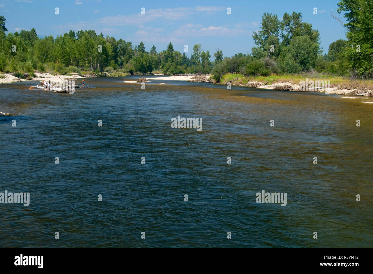 Bitterroot River Montana High Resolution Stock Photography And Images Alamy