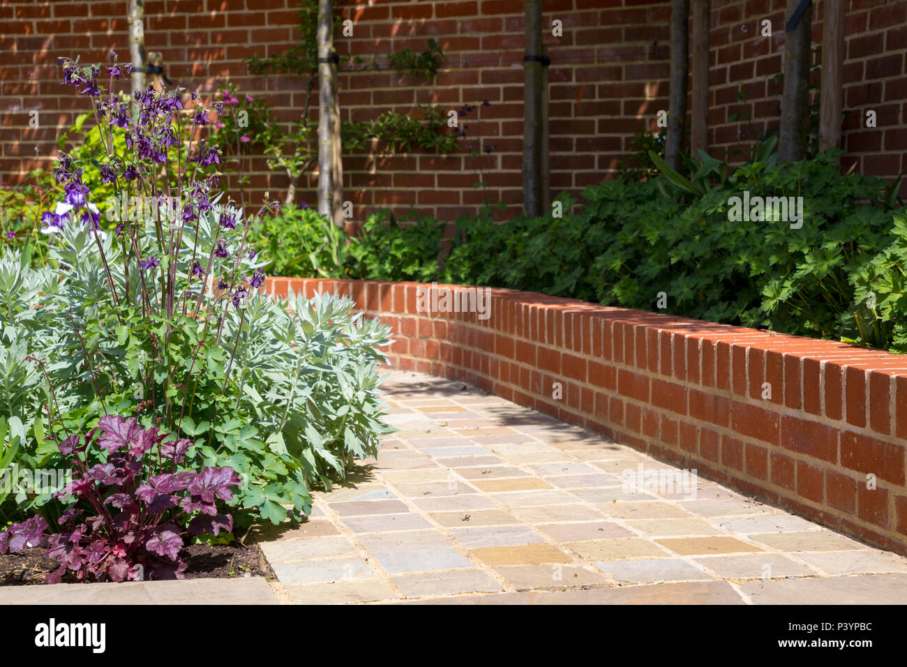 View along path with brick retaining wall and border containing Artemisia ludoviciana 'Valerie Finnis', Aquilegia and Heuchera Stock Photo