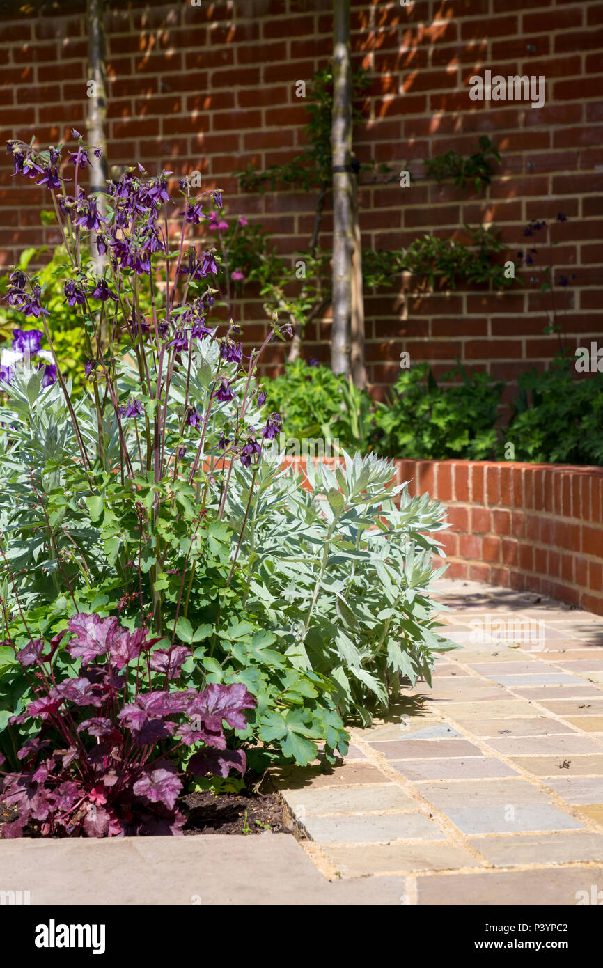 View along path with brick retaining wall and border containing Artemisia ludoviciana 'Valerie Finnis', Aquilegia and Heuchera Stock Photo
