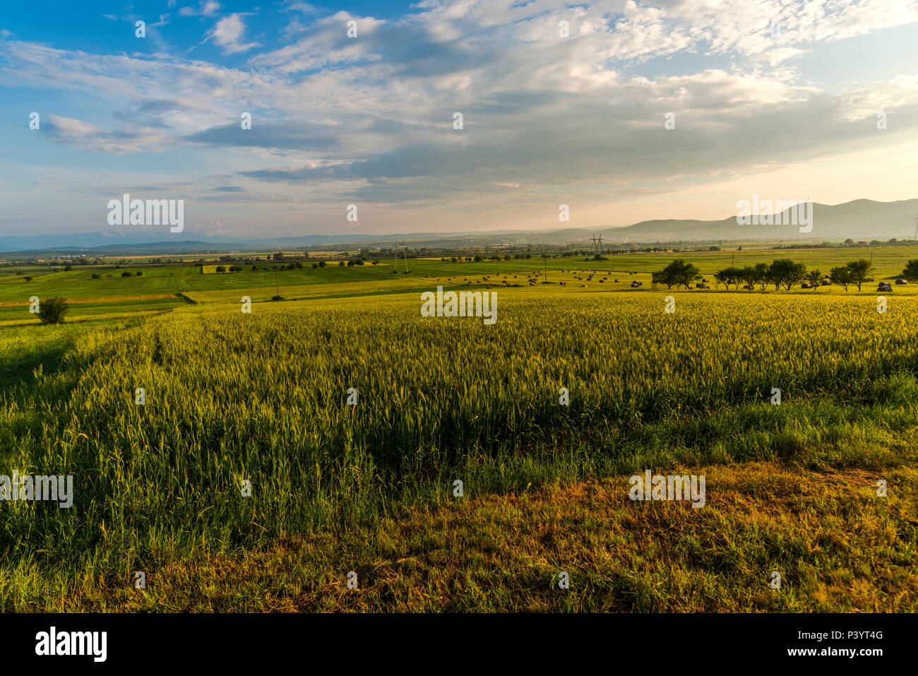 Spring landscape on the hill Stock Photo - Alamy