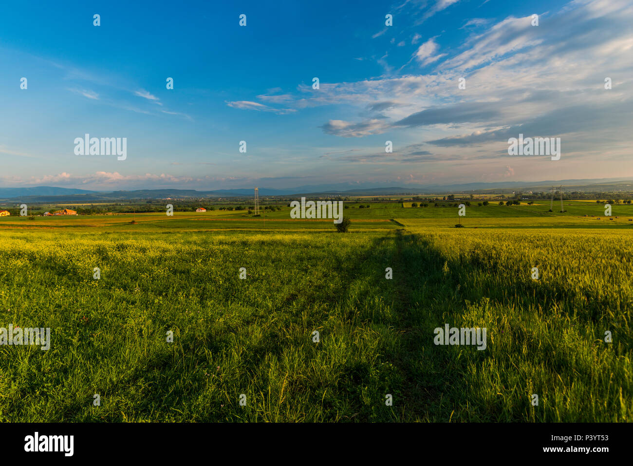 Spring landscape on the hill Stock Photo - Alamy