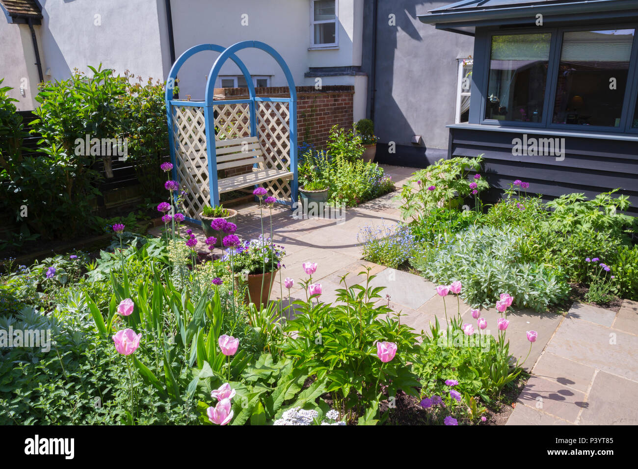 Overview of blue Arbour seating area, kitchen extension and garden patio borders containing Tulipa 'Pink Diamond', Artemisia ludoviciana 'Valerie Finn Stock Photo