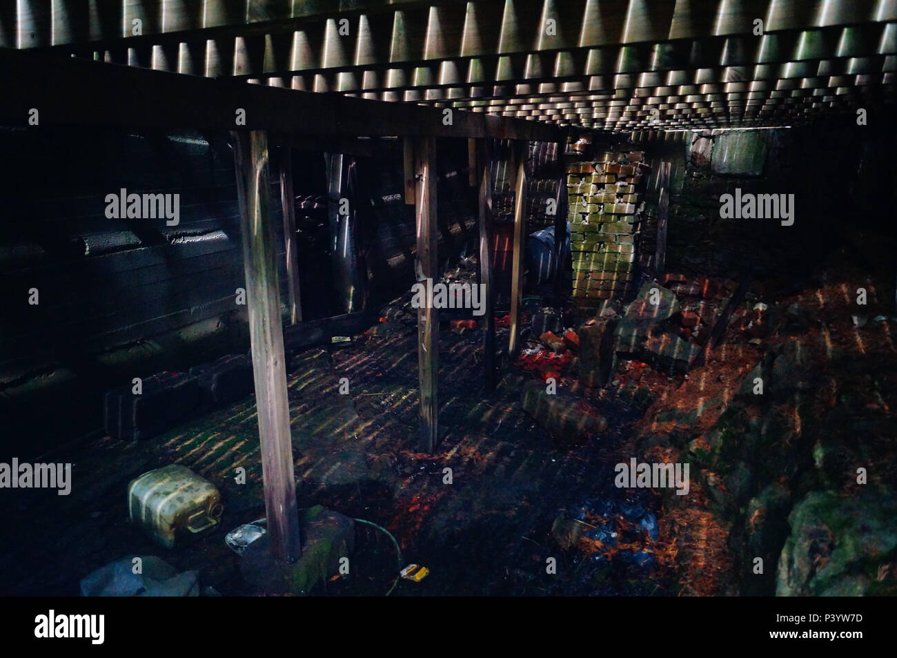 Old basement under a house in the forest Stock Photo