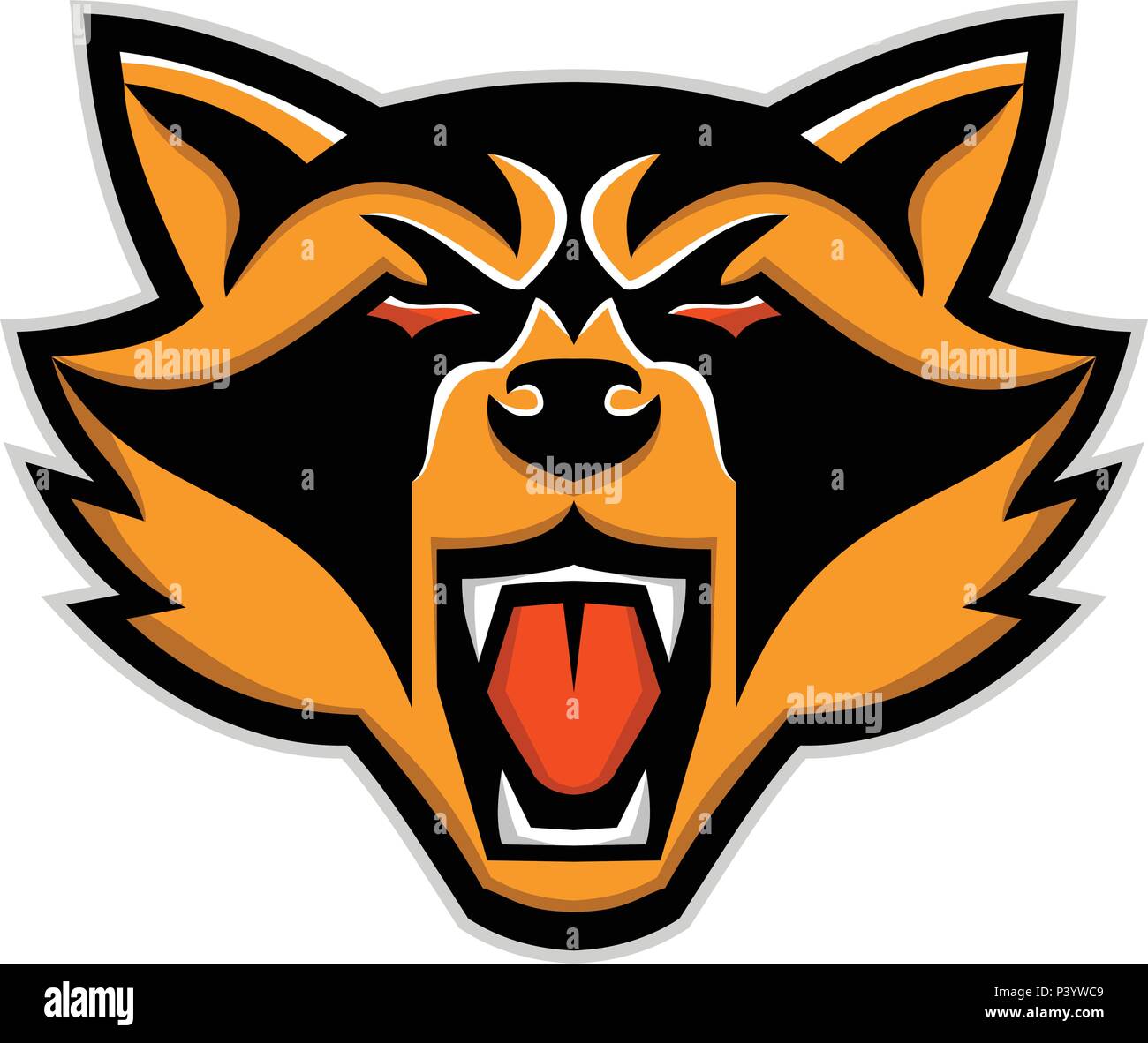 Mascot icon illustration of head of an angry raccoon, racoon, common raccoon, North American raccoon or northern raccoon, is a medium-sized mammal fro Stock Vector
