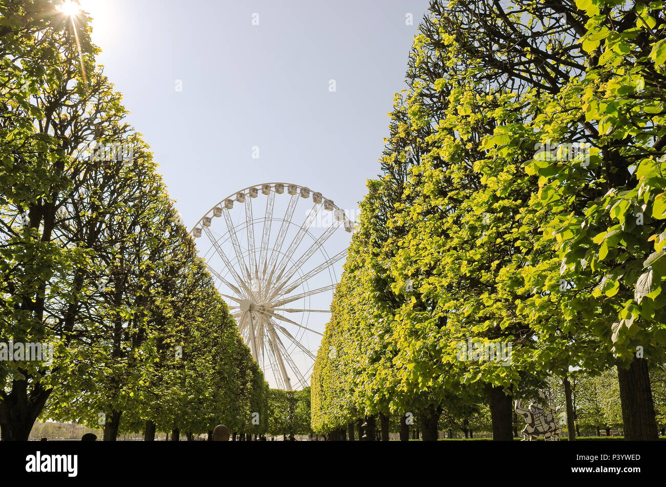 The big wheel of Paris Stock Photo Alamy
