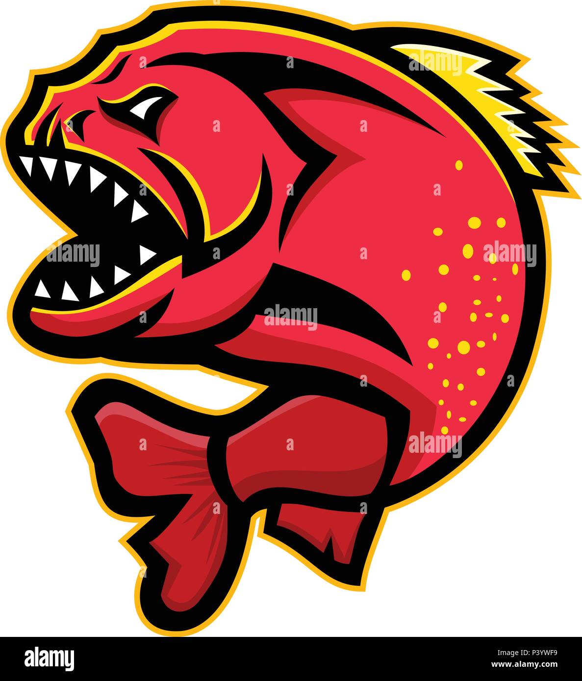 Mascot icon illustration of an angry piranha, pirana or caribe, a member of family Characidae in order Characiformes, a South American freshwater fish Stock Vector