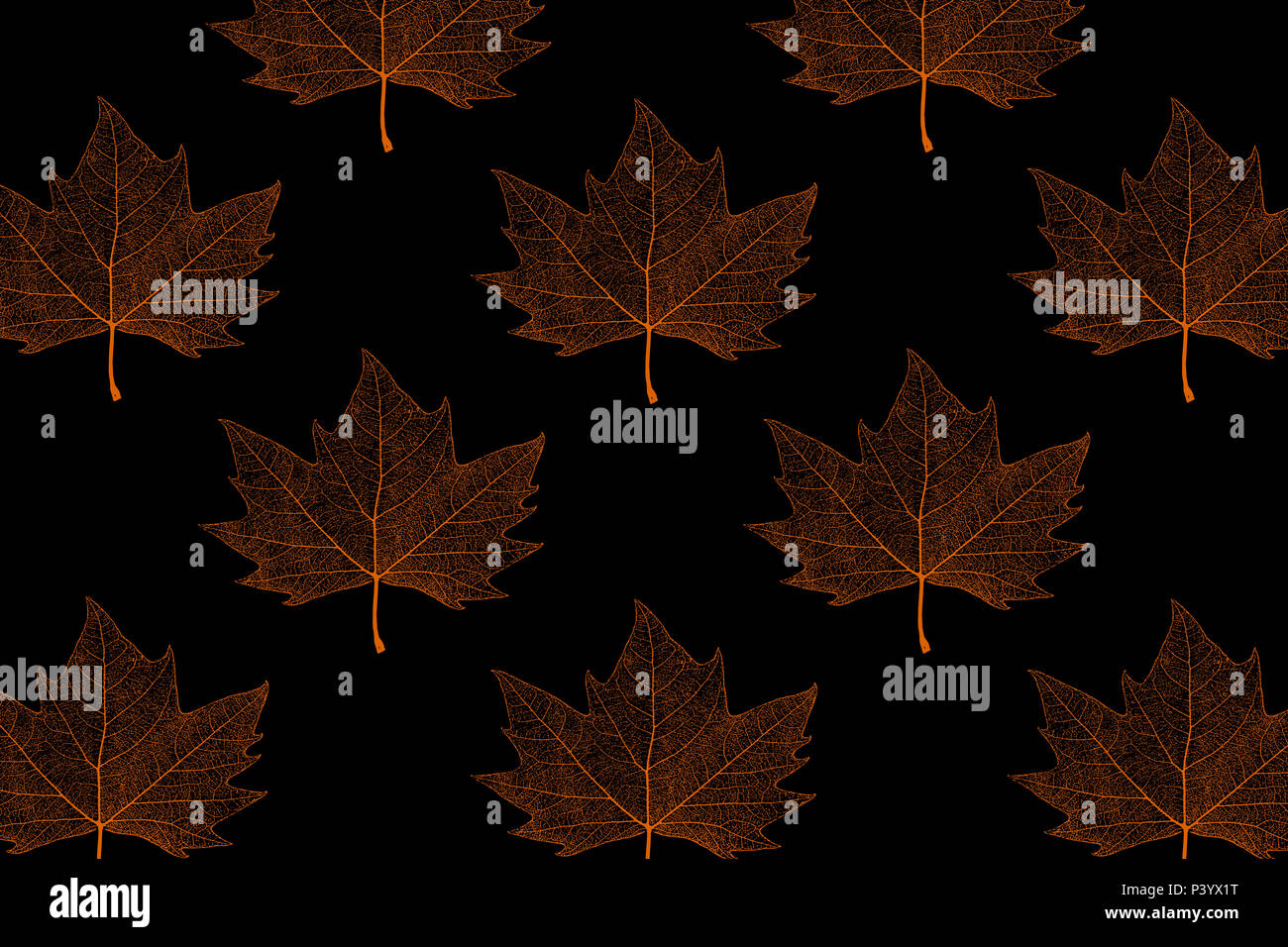 Template with maple leaf on an black background.  Maple leaf patch. Stock Photo