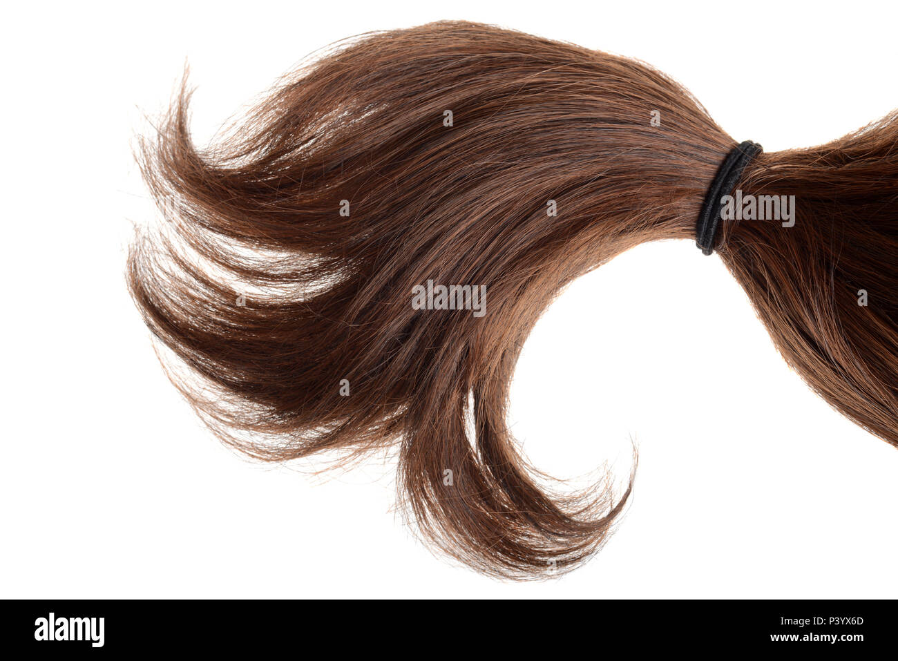 brunette hair in a ponytail isolated Stock Photo