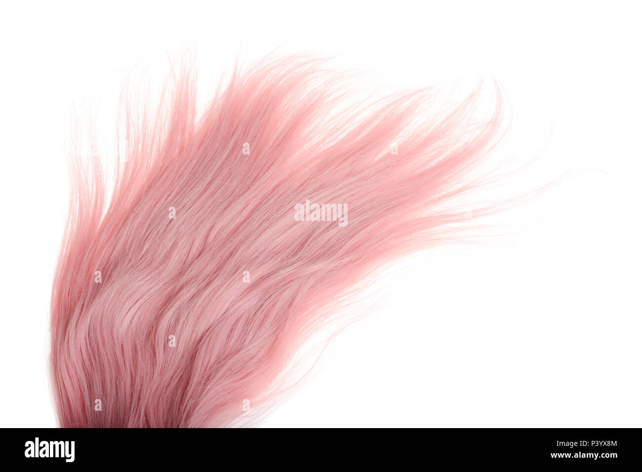 closeup strand of pink hair Stock Photo