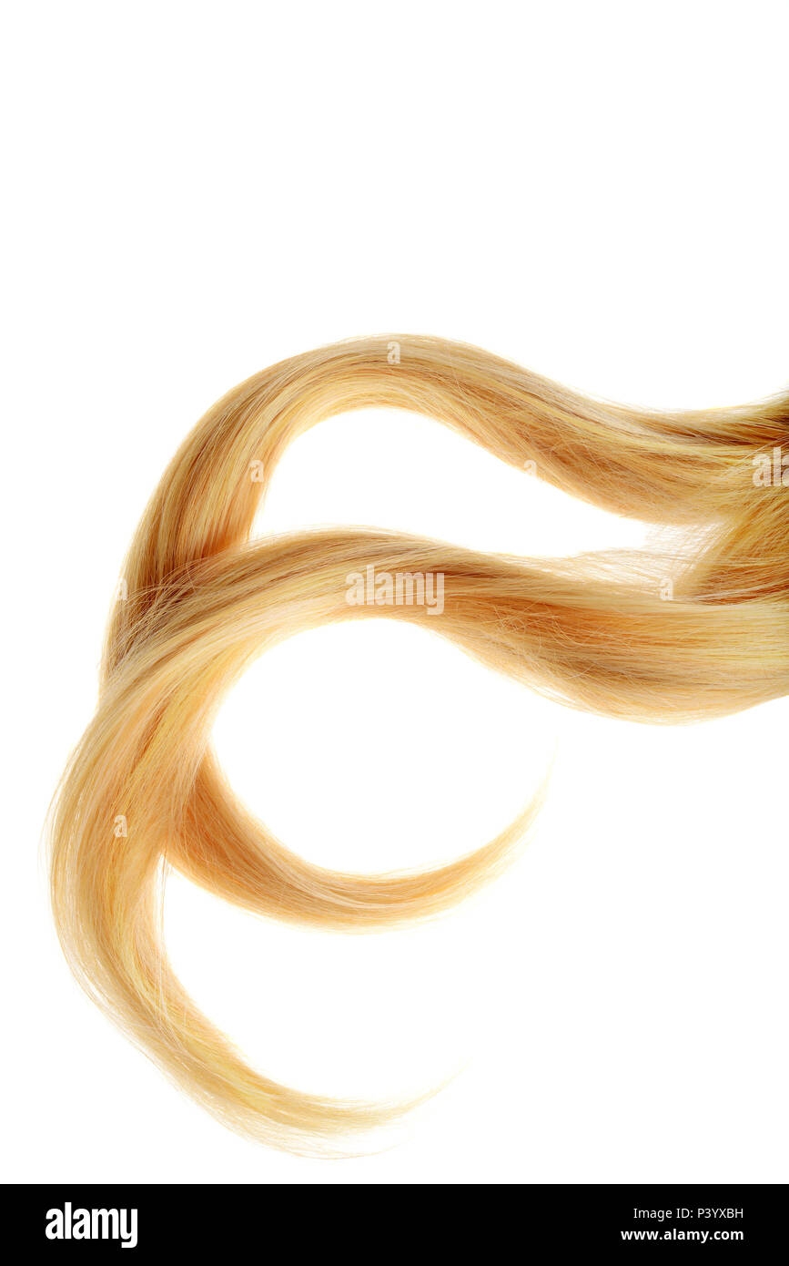 Hair hairy blonde blond hi-res stock photography and images - Alamy