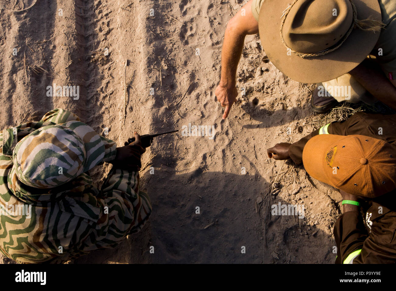 African Lion (Panthera leo) trackers, Timbo Frackson and Christopher ...