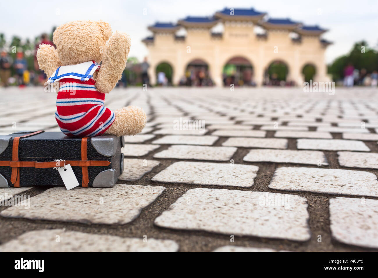 teddy bear in sailor suit