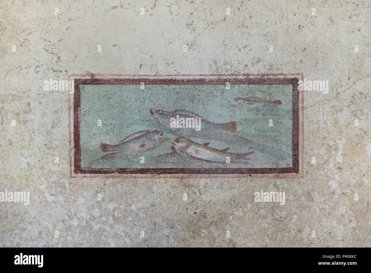 Fish depicted in the Roman fresco in the fourth style in the House of the Ephebe (Casa dell'Efebo) in the archaeological site of Pompeii (Pompei) near Naples, Campania, Italy. Stock Photo