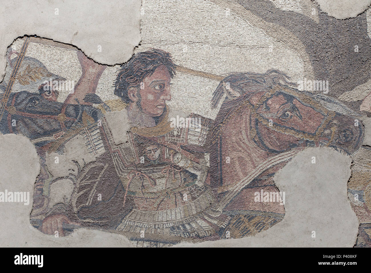Alexander the Great depicted in the Alexander Mosaic in the House of the Faun (Casa del Fauno) in the archaeological site of Pompeii (Pompei) near Naples, Campania, Italy. The original mosaic is now housed in the National Archaeological Museum (Museo Archeologico Nazionale di Napoli) in Naples. The copy is installed on the place where the original was unearthed. Stock Photo