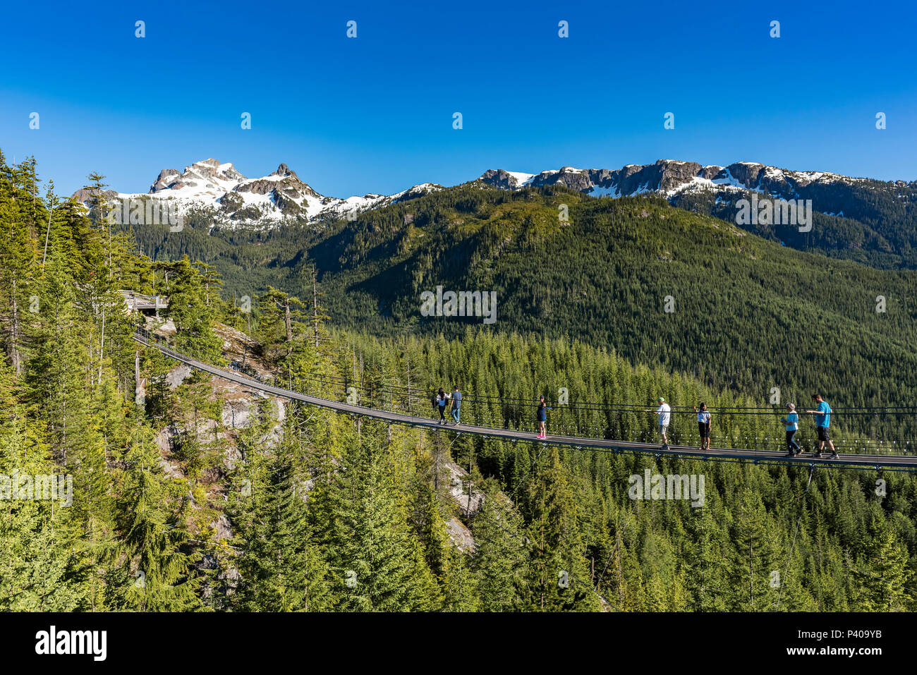 Cable Suspension Bridge at Sea to Sky Gondola, Squamish, British Columbia, Canada. Stock Photo