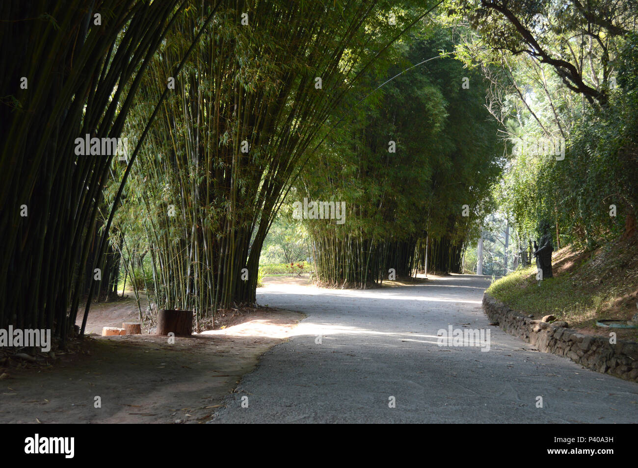 Bambus no Templo budista Zu Lai, Cotia, SP. Stock Photo