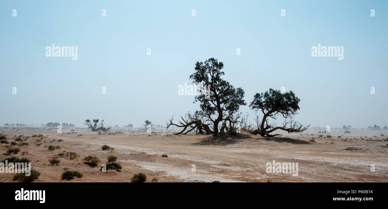 Sahara sand storm hi-res stock photography and images - Alamy