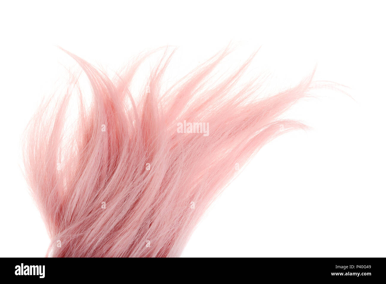 piece of pink hair isolated Stock Photo