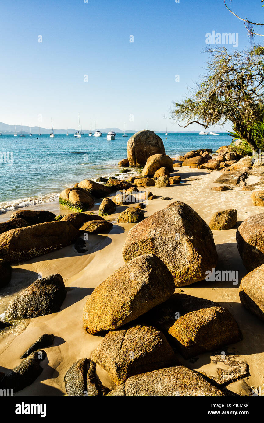 Costão rochoso na Praia de Jurerê. Florianópolis, Santa Catarina, Brasil. Stock Photo