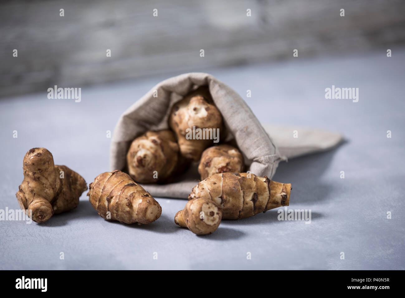 Topinambur, (Helianthus tuberosus), Alternative zur Kartoffel, Studio Stock Photo
