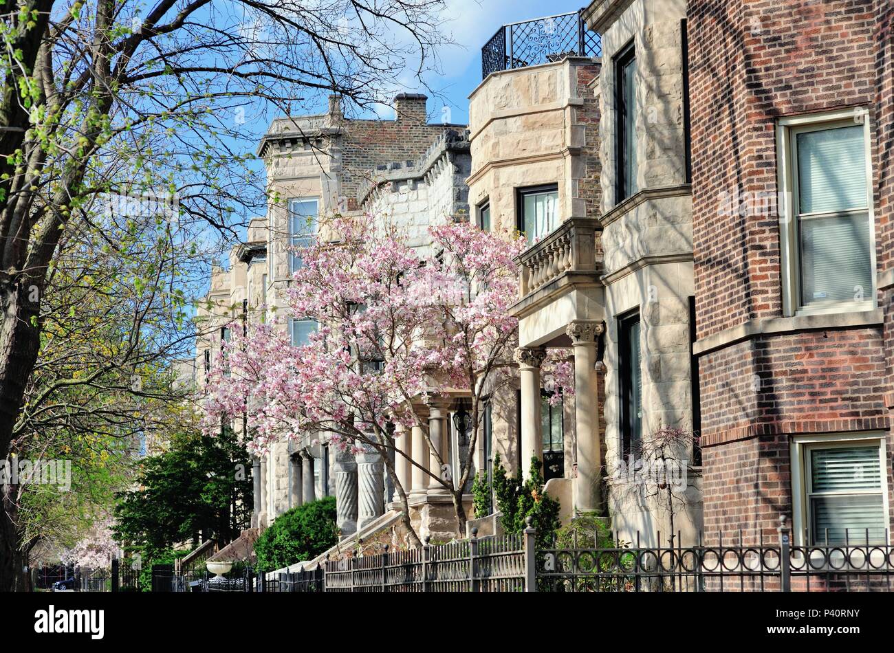 Chicago, Illinois, USA. Apartment buildings line a neat city block in
