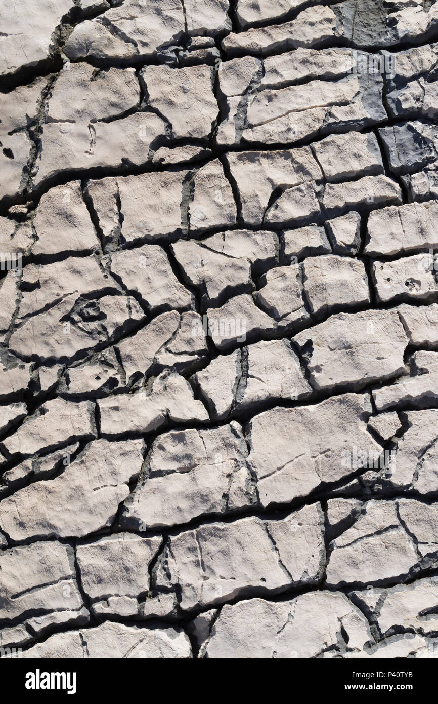 Details of rocks at Croatian coast line. Beautiful nice pattern of ...