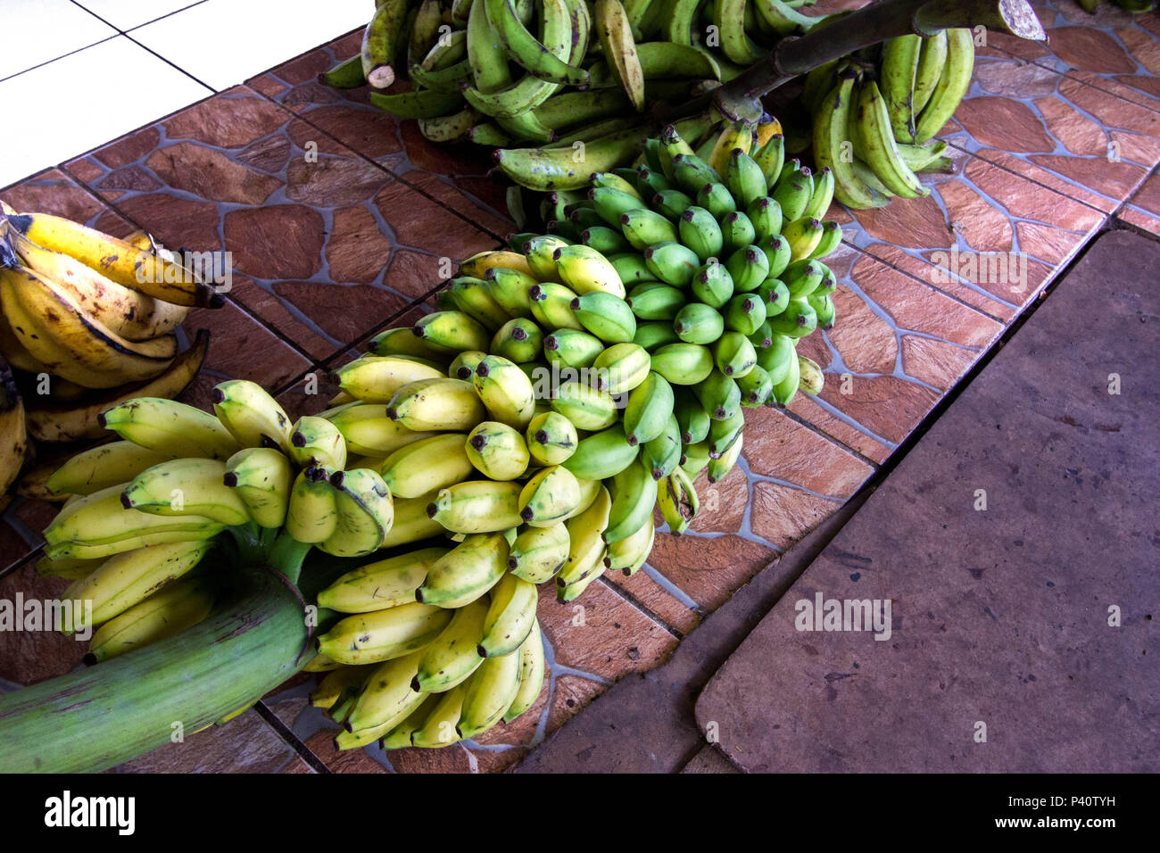 Manaus- AM Bananas Cacho de Bananas Pencas de bananas Fruta Mercado de ...