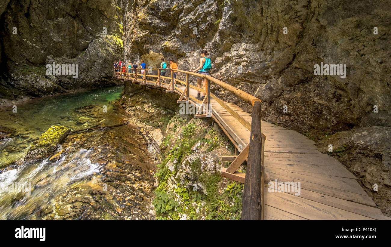 Soteska vintgar gorge with tourists walking on boardwalk along river on sunny day Stock Photo