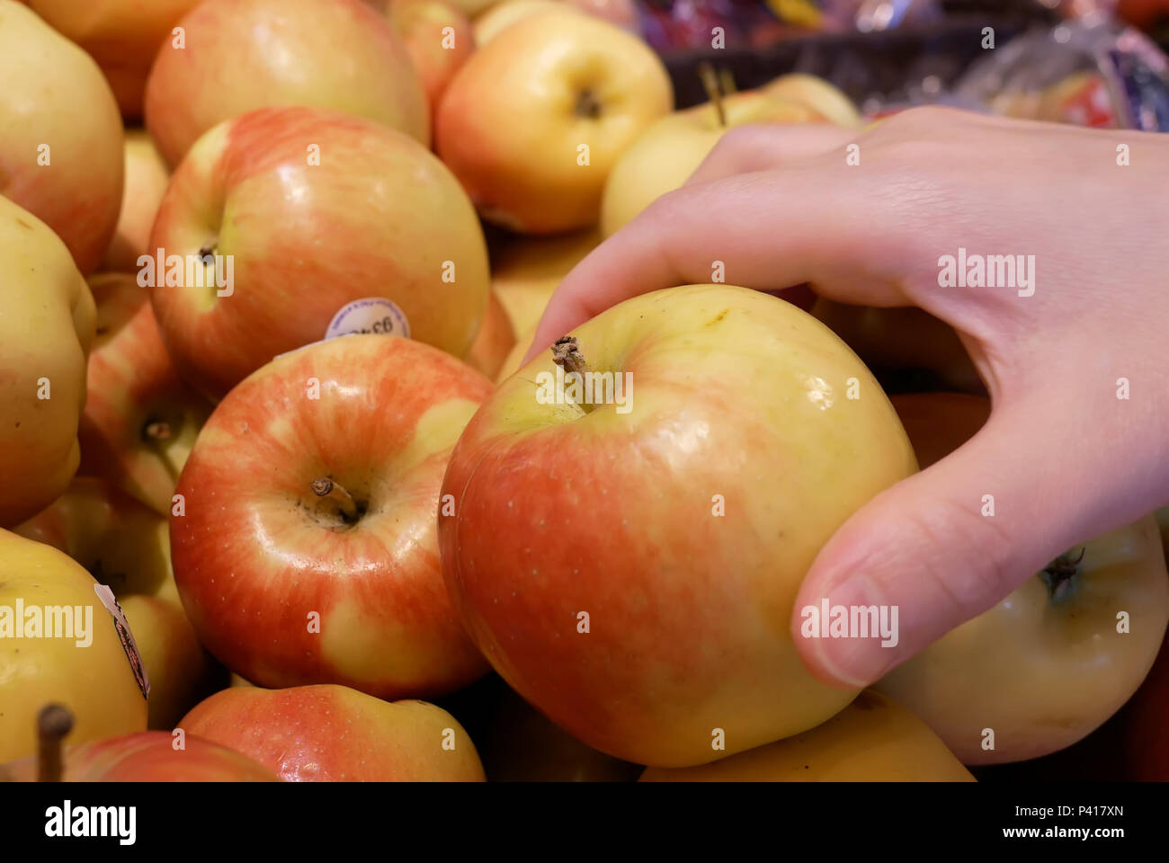 Motion of woman's hand picking organic ambrosia apple inside supermarket Stock Photo