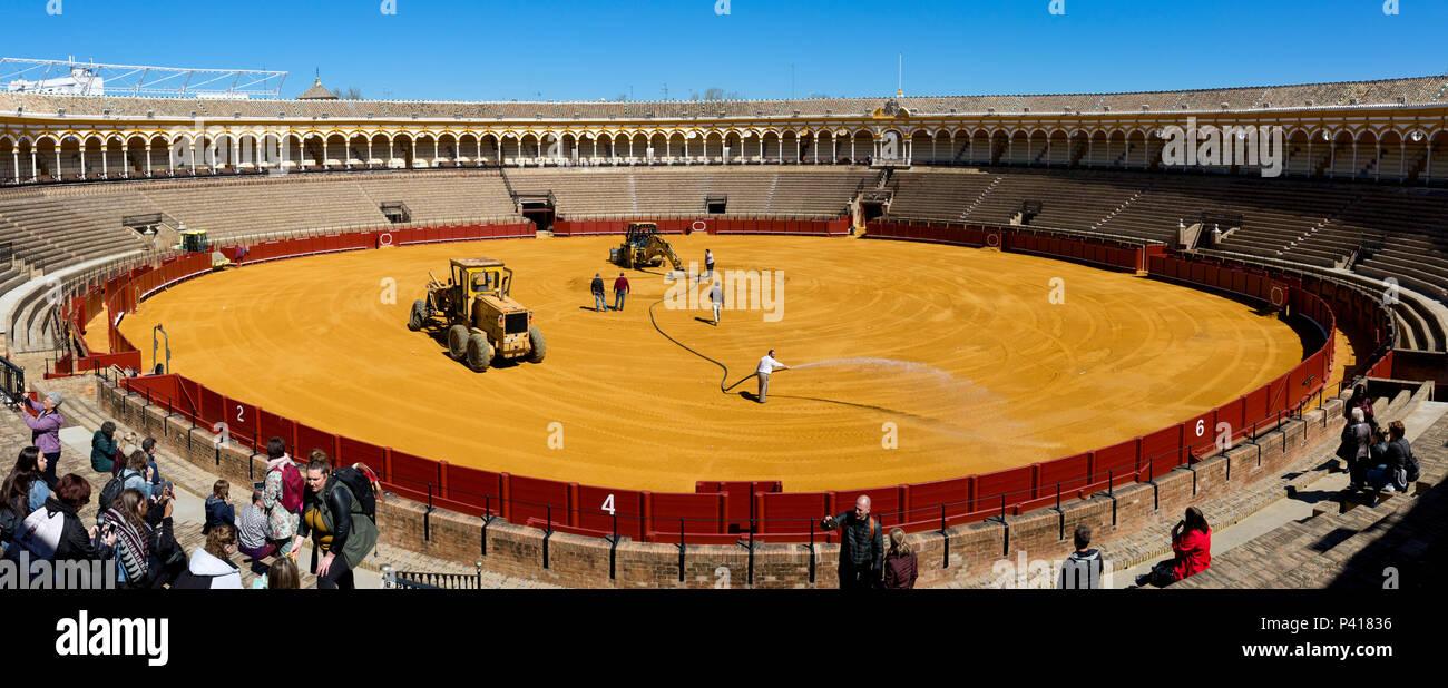 Groundsmen busy preparing Seville bullring for the next event day, Seville Stock Photo