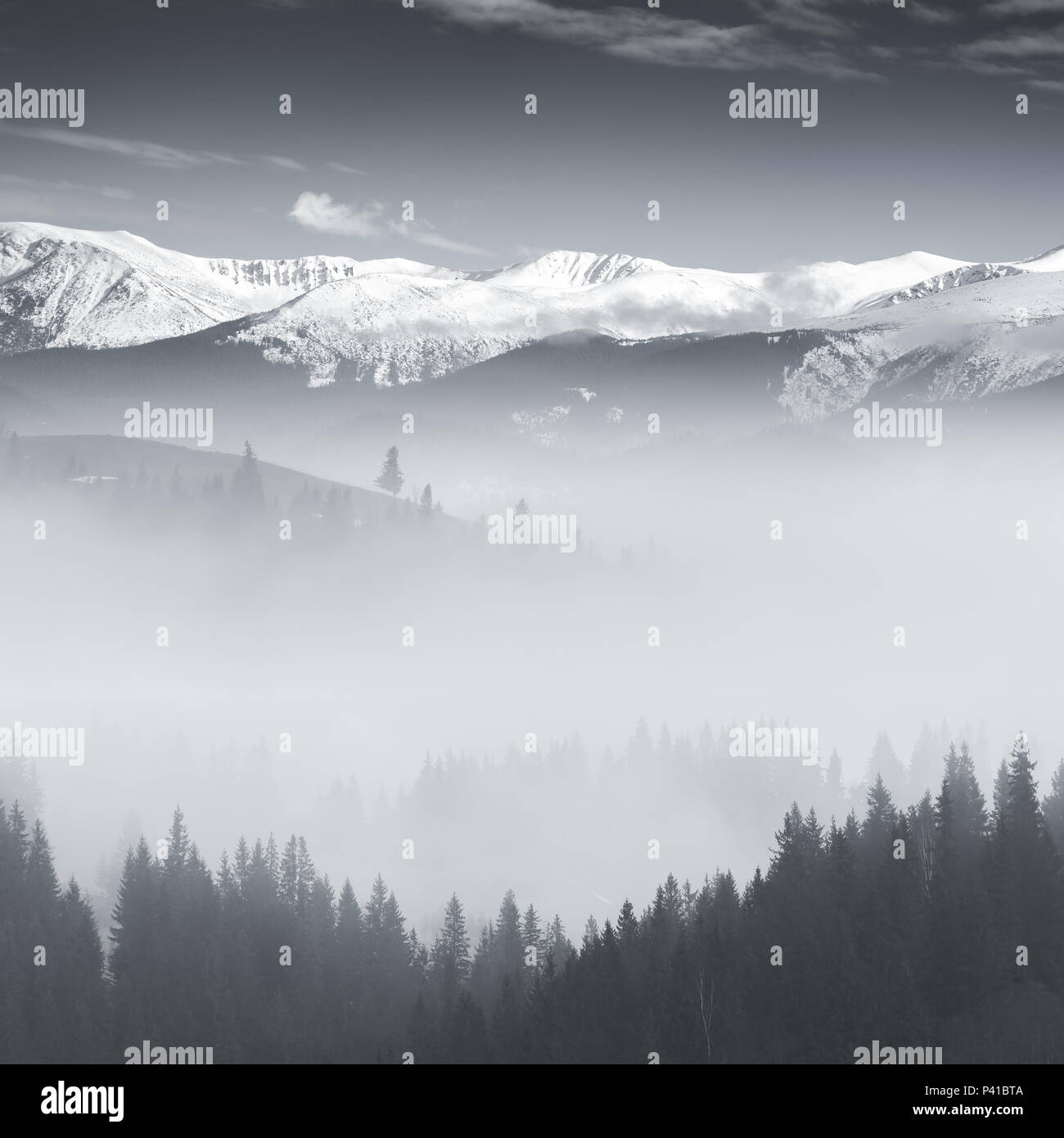 BW landscape with beautiful fog in forest on hill, mountains on background. Monochrome picture with calm foggy day. Stock Photo