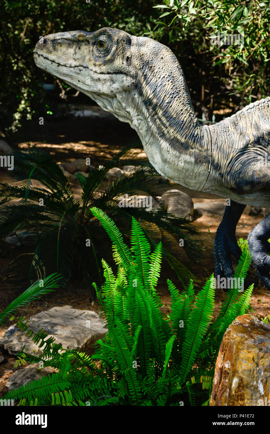A resin T-Rex lurks among the fern gardens in a Jurassic environment Stock Photo