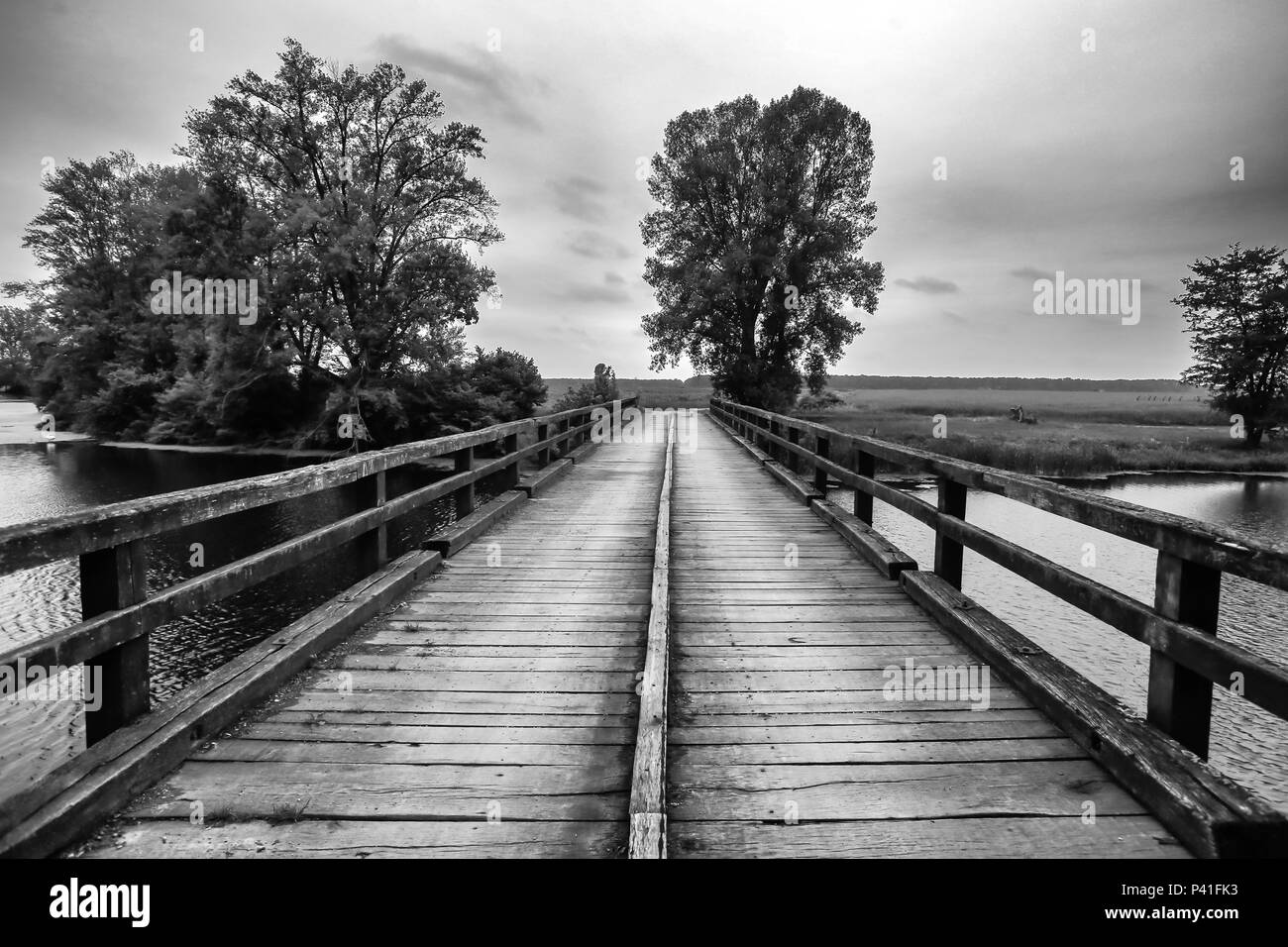 Old wooden bridge over the river Bosut near Vinkovci, Croatia. Stock Photo
