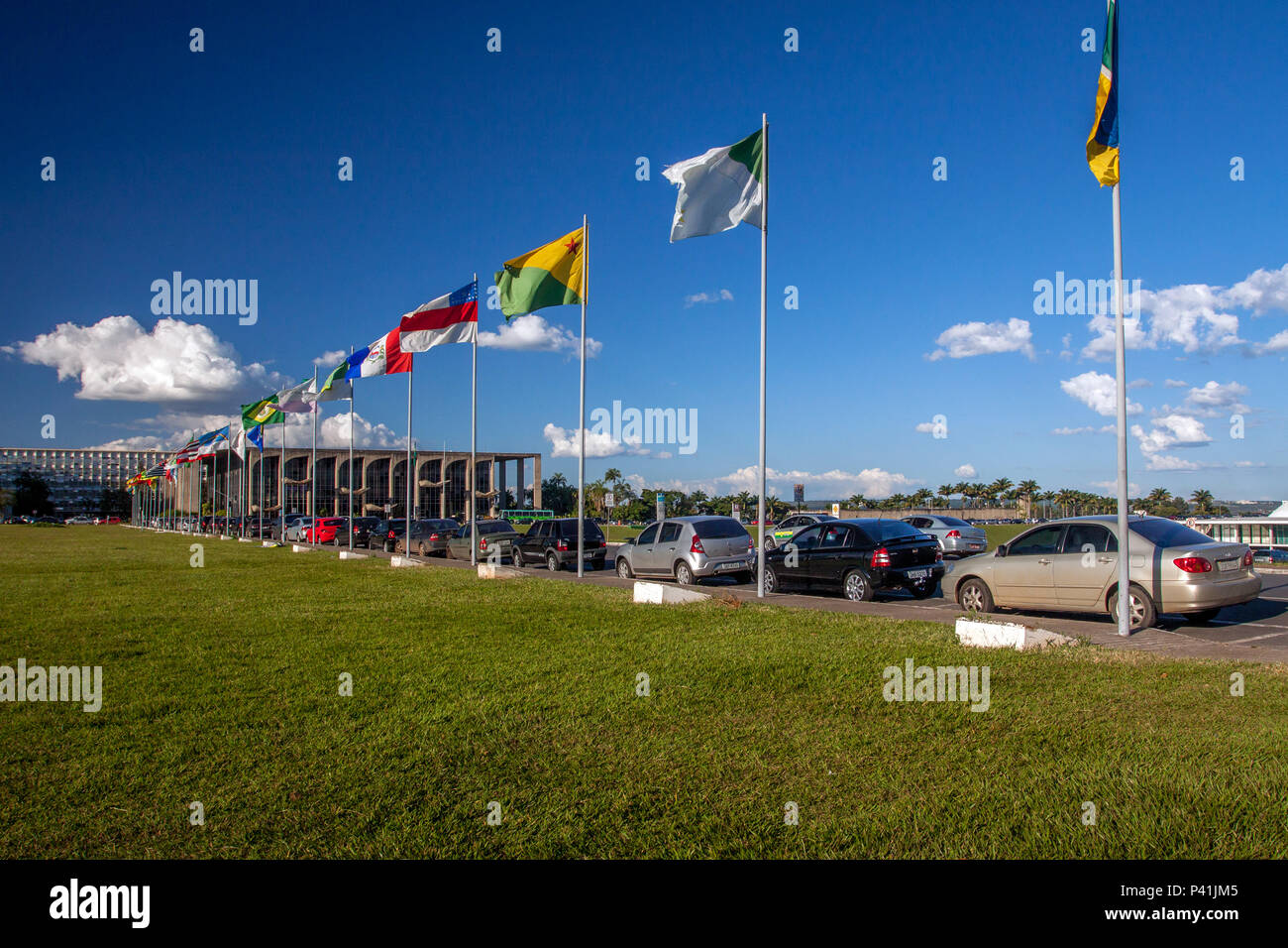 Bandeiras dos estados brasileiros + DF 