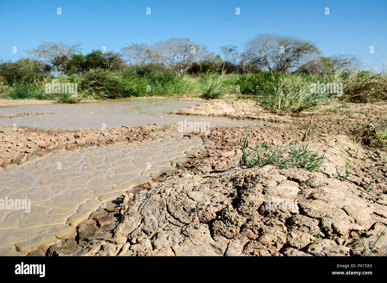 Effects of drought in Los Santos, a province located in the Dry Arch area Panama Stock Photo